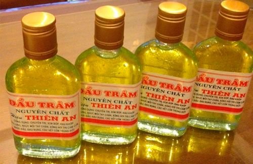 dau-tram-thien-an-gia-1