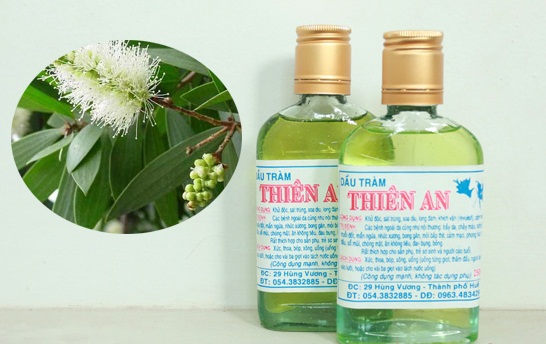 dau-tram-thien-an-gia-6